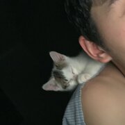 Alexxx69