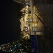 Sosal_31
