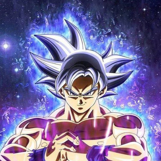 shingoku94
