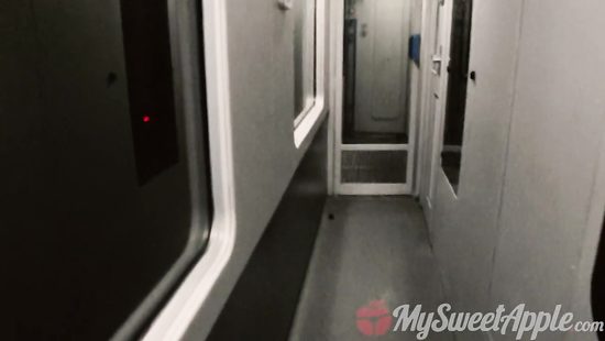 В ночном поезде незнакомец приболтал на секс случайную попутчицу