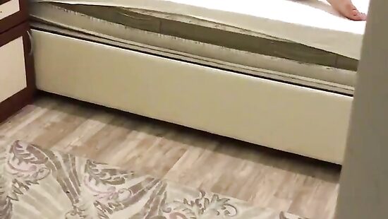 облюбовали семейное гнёздышко