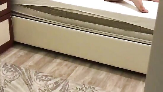 облюбовали семейное гнёздышко