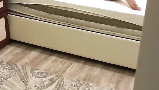 облюбовали семейное гнёздышко