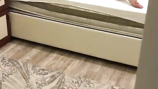 облюбовали семейное гнёздышко