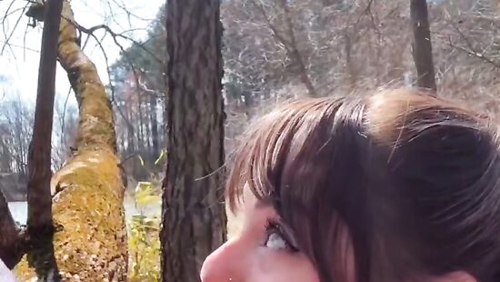 природная тяга