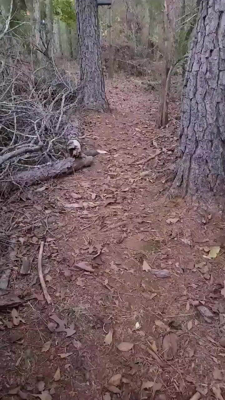 во жена лесоруба отжигает
