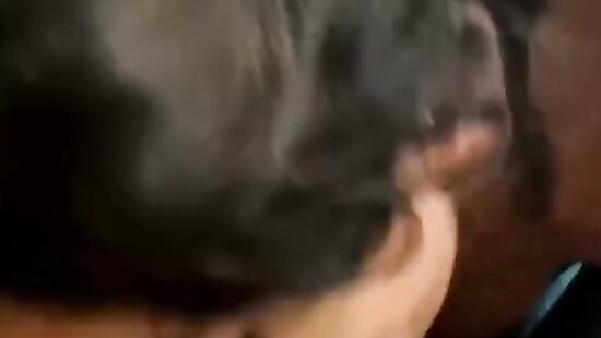 училка делает минет